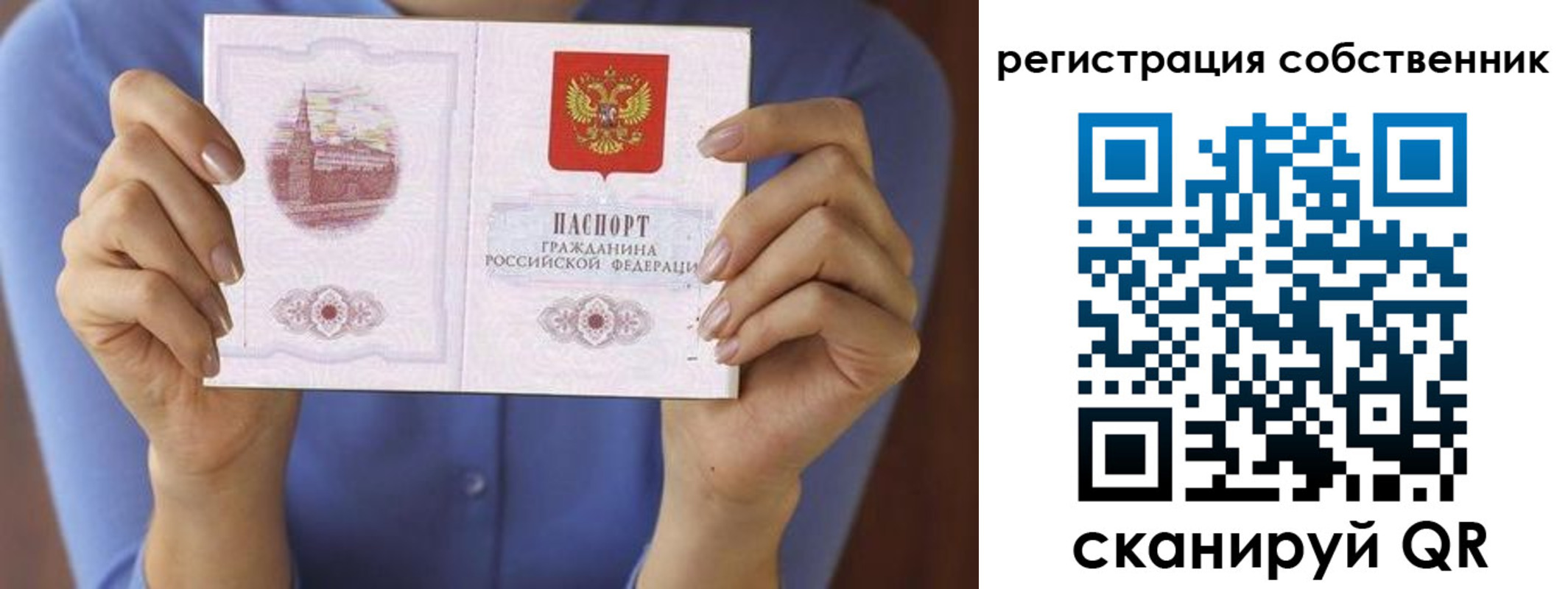 временная регистрация гарантия в Светлом